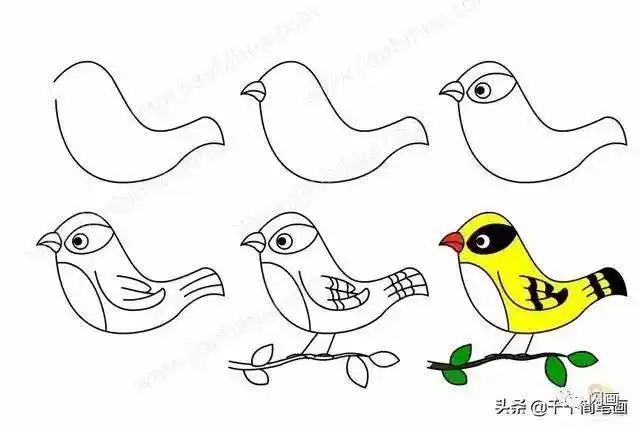 国画黄鹂简笔画