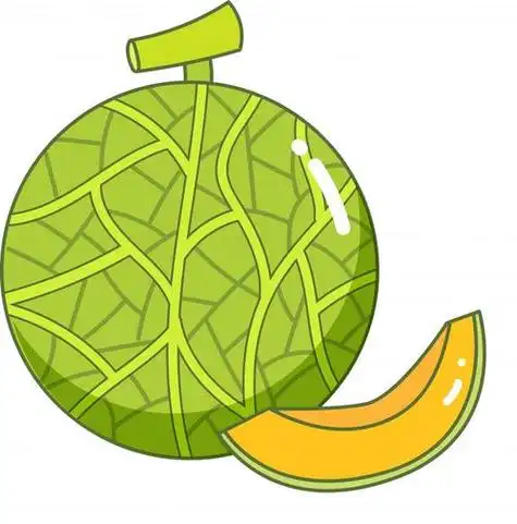 哈密瓜彩色简笔画