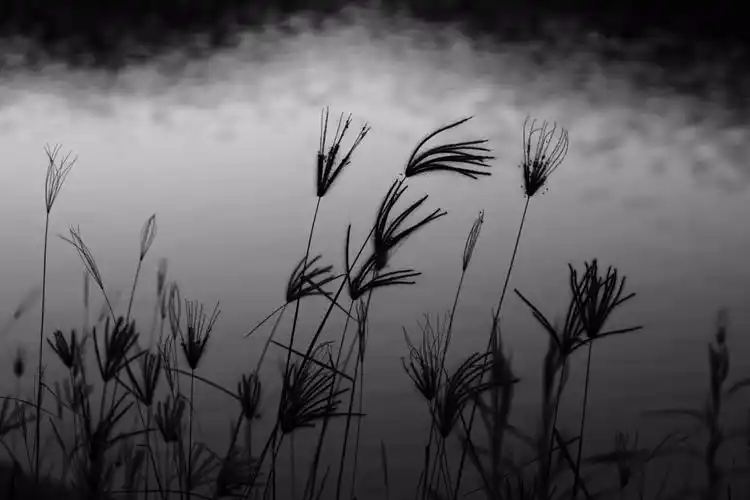 抑郁症患者的世界到底有多黑暗,你了解吗?