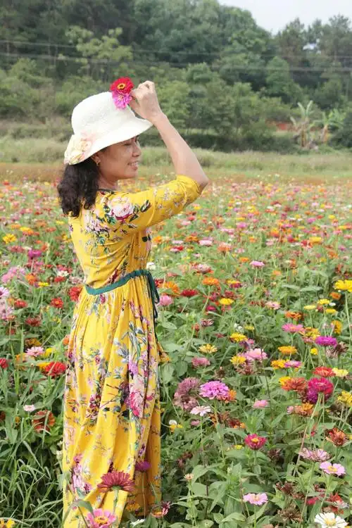 小小新娘花(二)~南宁园博园风景区~摄于2018年5月