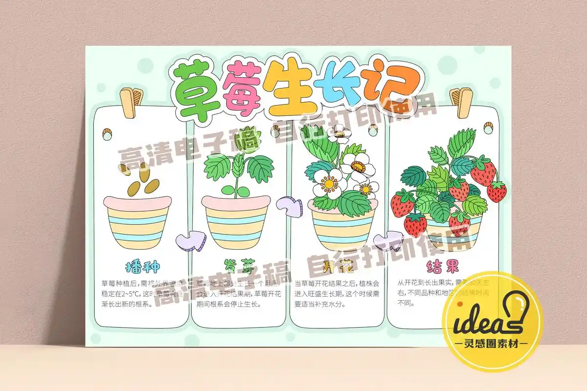 草莓生长记手抄报.手抄报#手抄报 #手抄报模板 #手抄报作业 - 抖音