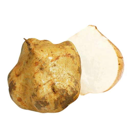 牧马山地瓜种子凉薯种籽白地瓜沙葛豆薯春季早熟农家水果蔬菜种籽