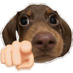 超可爱小比透明底表情包