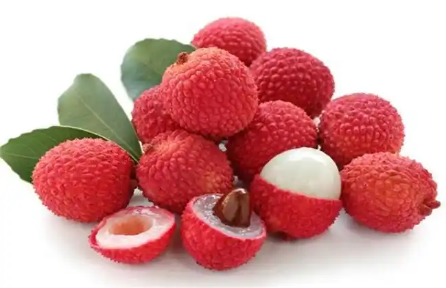 荔枝常见品种及图片一览