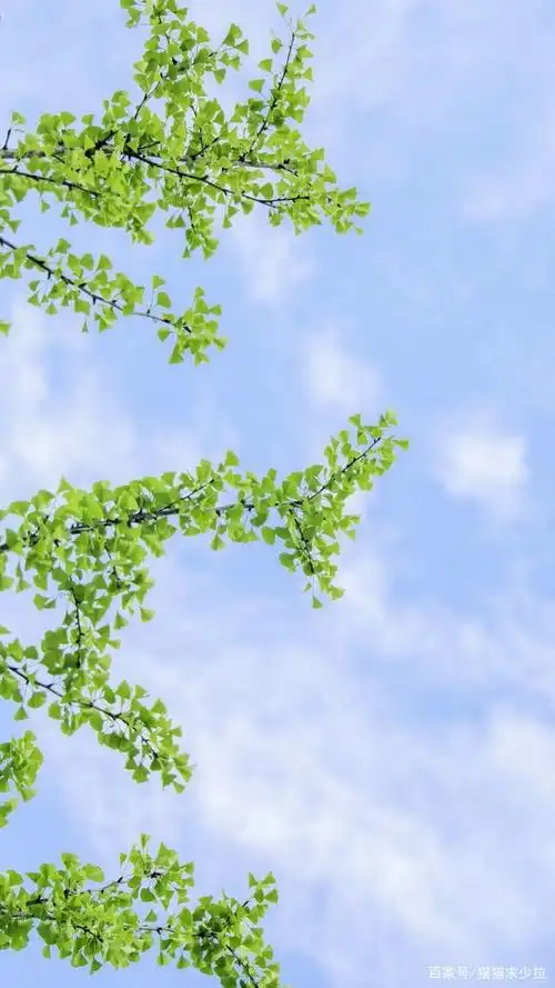 文艺小清新护眼高清全屏壁纸风景宁静