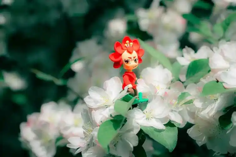 眼力考验小小海小棠畅游天大校园