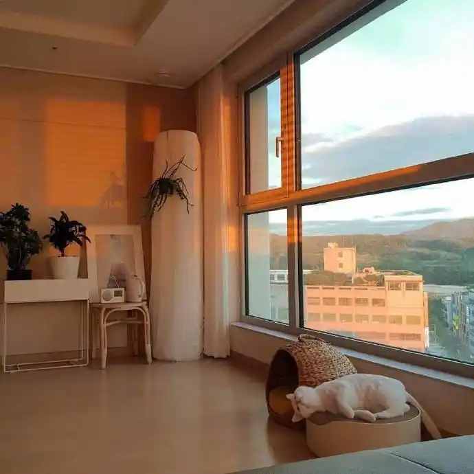 落地窗配大床我宁愿当个宅星人