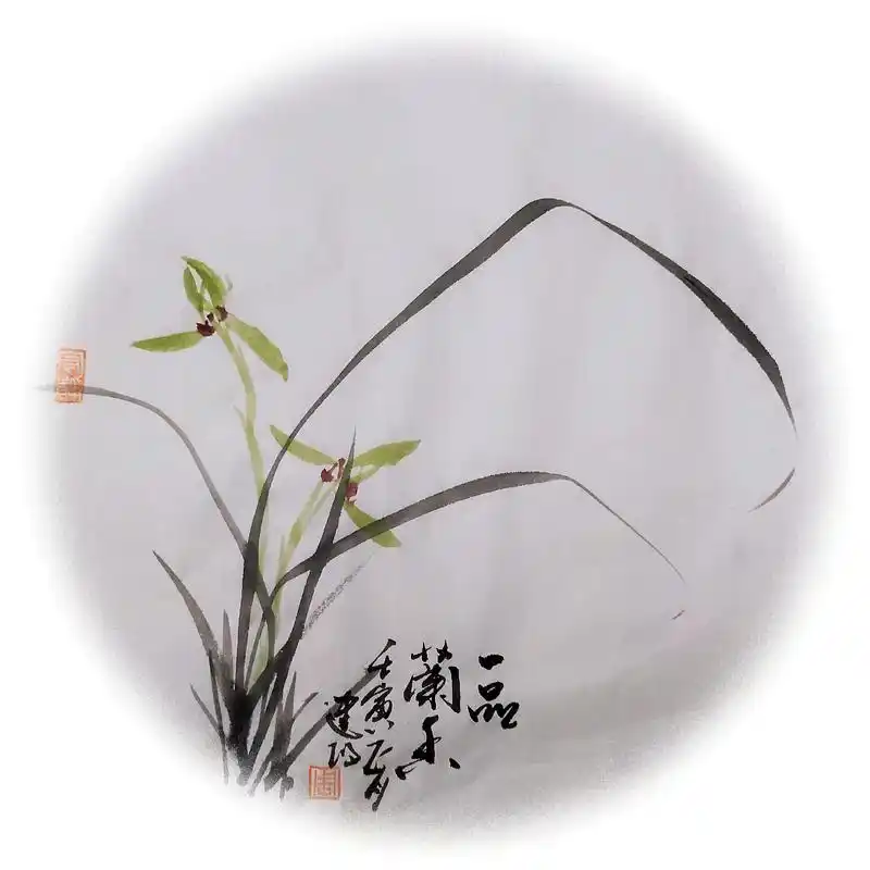 兰花欣赏 #水墨写意  - 抖音