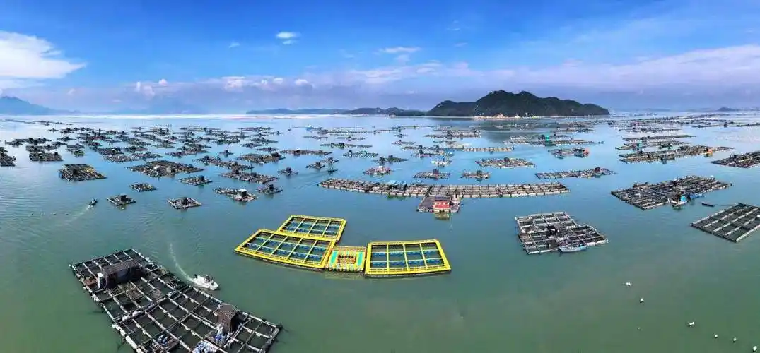 向海图强看广东耕牧深蓝唱响现代海洋牧歌