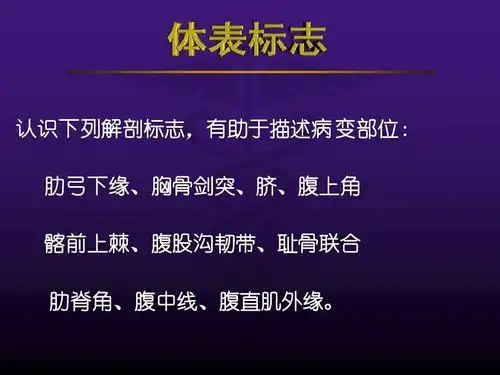 有助于描述病 变部位: 肋弓下缘,胸骨剑突,脐,腹上角 肋弓下缘,胸骨
