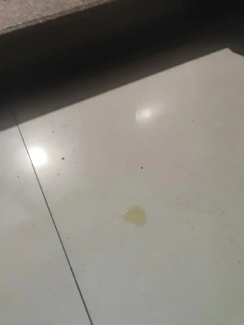 看看这满地狗屎,让人真的讨厌.从昨天的满心欢 - 抖音