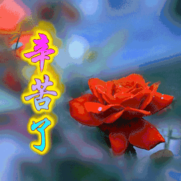 鲜花版▲彩虹桥版▲鸽子花版朋友惊不惊喜朋友喜不喜欢朋友,本期表情