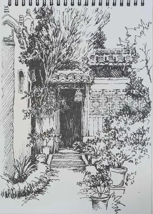 钢笔速写:庭前小景