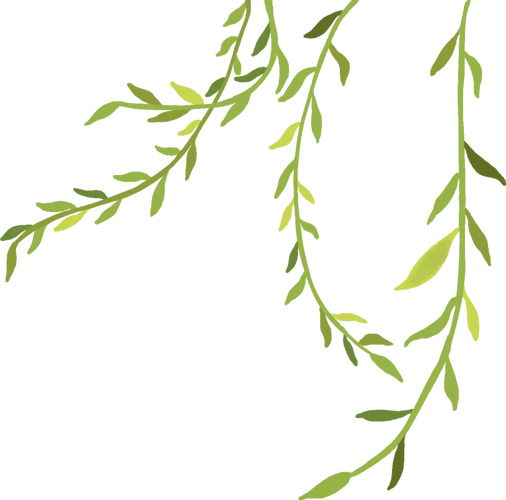 二实验61我们的节日阑珊春意展新程清明雨落莫忘归清明节