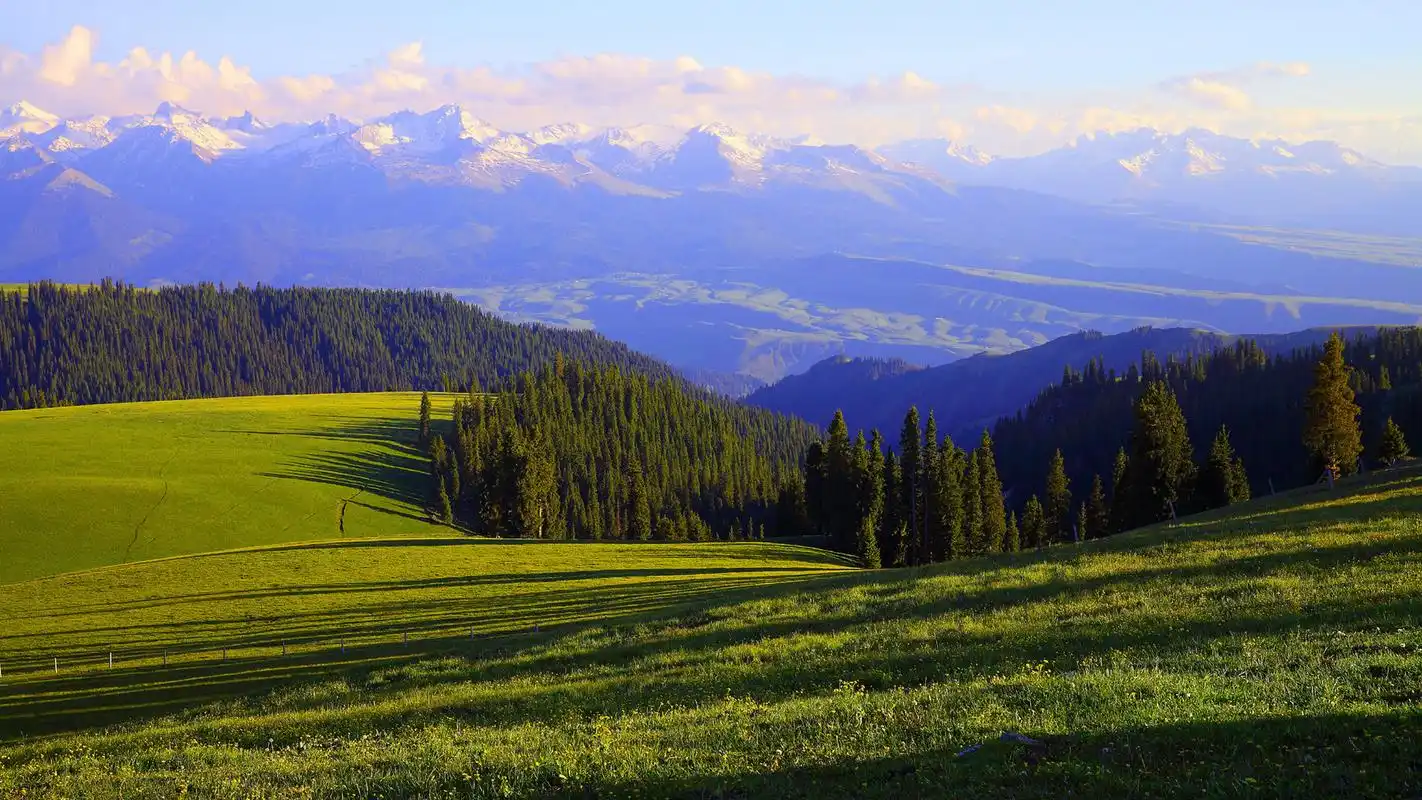 唯美清新草原护眼桌面壁纸-风景壁纸-手机壁纸下载-美桌网