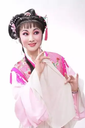 越剧春晚十大流派十二朵梅如果你来选你最想看谁