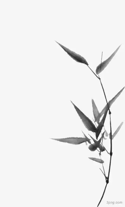 水墨叶子png素材透明免抠图片-卡通手绘