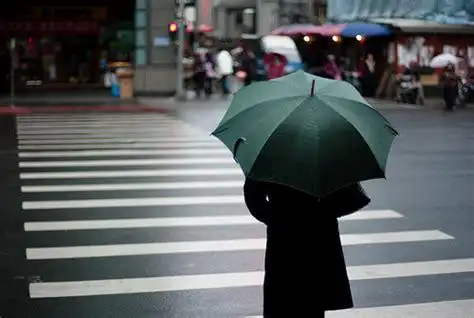 雨伞伤感图片一个人打雨伞伤感图片2022已更新今日图集