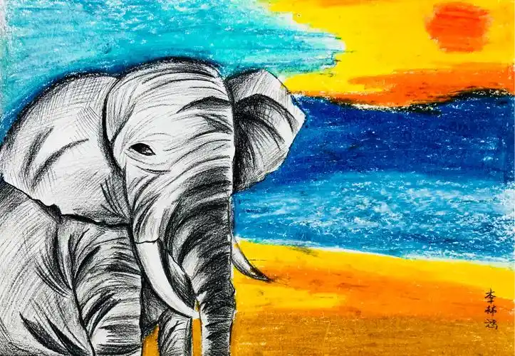 【跟我学美术】6.9周六下午总校培培老师创意素描班《大象》