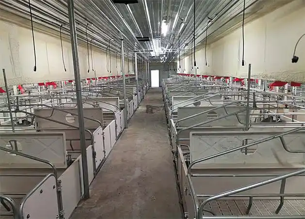 据介绍,该项目占地面积1915亩,拟建设20万头规模全线场,包括猪舍,配套