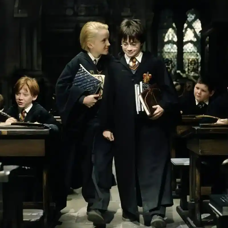 每一场风景都是我们爱的证明#德拉科马尔福 #哈利波特 #德哈 - 抖音