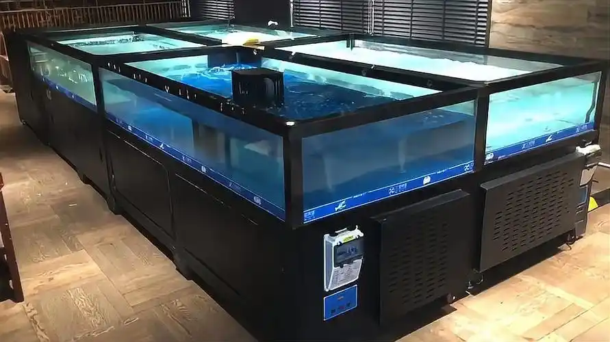 移动式 海鲜缸一体式 海鲜池移动 鱼缸柜式 鱼池鱼缸定制专业厂家案例