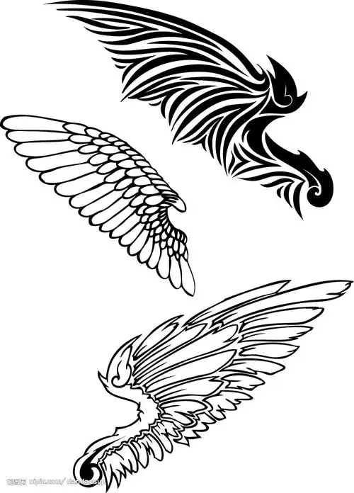 矢量翅膀图片
