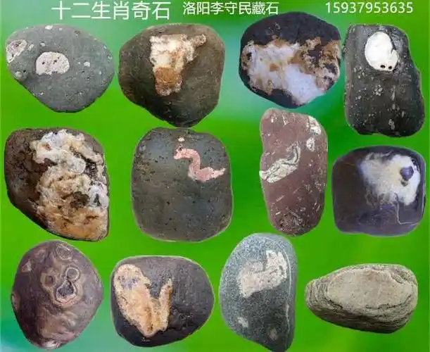 两套十二属相奇石已成功配齐!