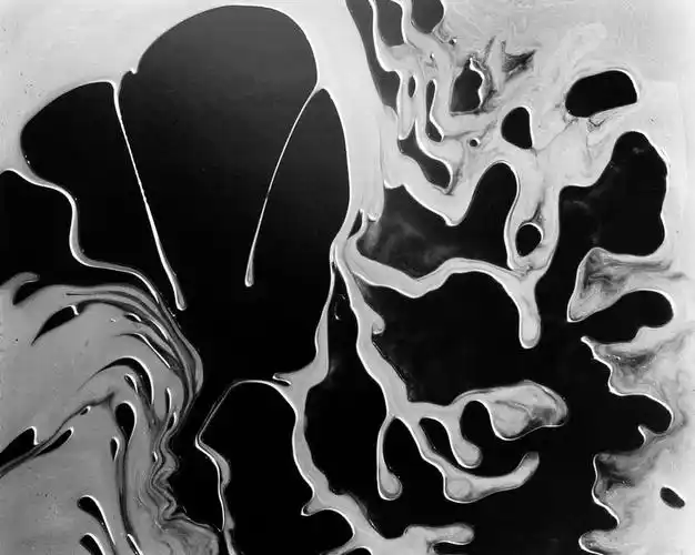 摄影志brettweston抽象主义作品