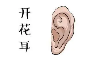 3像耳朵的简笔画 3像耳朵的简笔画大全