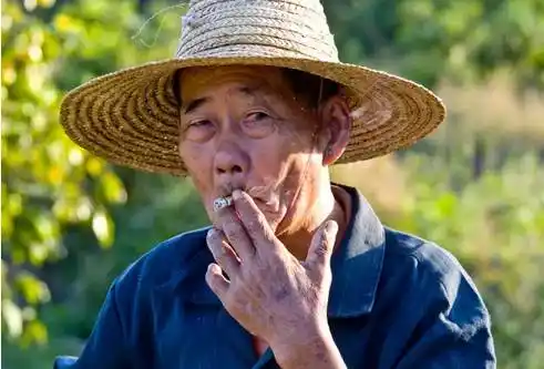 农夫和小姐,这才叫服务