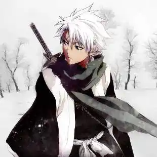 死神冬狮郎图片头像 - 搜狗图片搜索