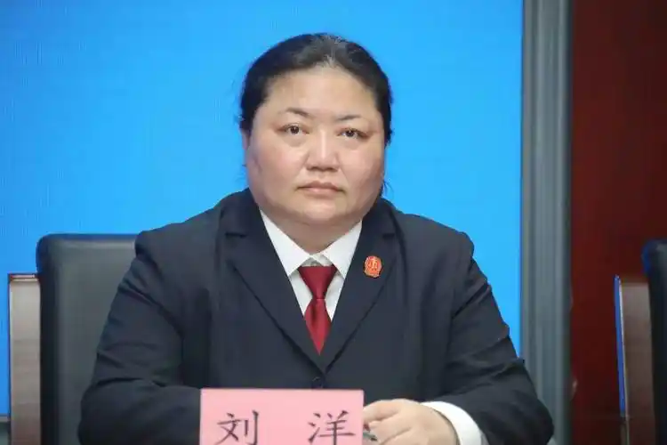 发布会上,民一庭法官屠育,未审庭副庭长刘洋,民五庭副庭长窦江涛,立案