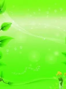 亮色背景图片免费下载,亮色背景设计素材大全,亮色背景模板下载,亮色