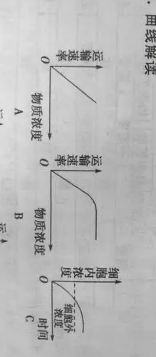 a曲线表示自由扩散,b曲线表示协助扩散,c曲线表示主动运输,b曲线应该