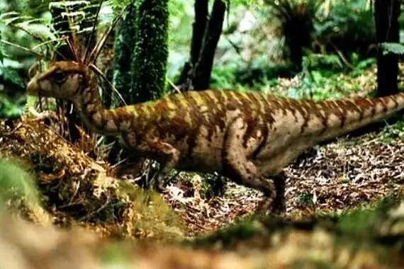 雷利诺龙极地小型恐龙拥有极强夜视能力长90厘米