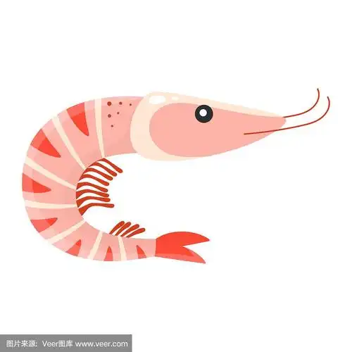 卡通虾孤立在白色,矢量插图