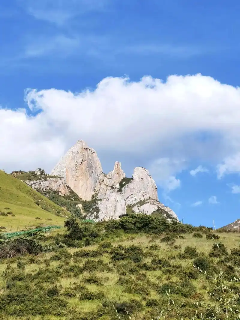 则岔石林是我们二上甘南的第四个目标景区,也 - 抖音