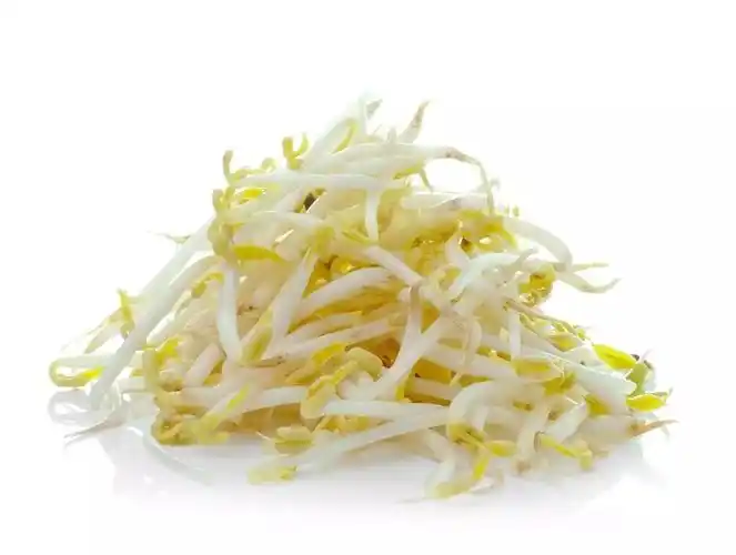 豆芽菜韭菜自古就被誉为"春菜第一美食",不仅因为其鲜美的口感,也是