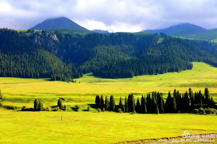 新疆唐布拉百里画廊