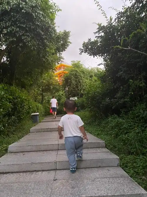 两岁小朋友自己上山下山