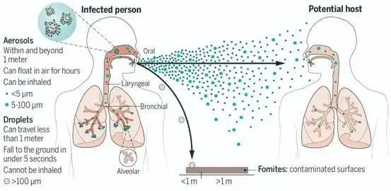 呼吸道病毒的空气传播,图片来自science, 2021, doi:10.1126/science.
