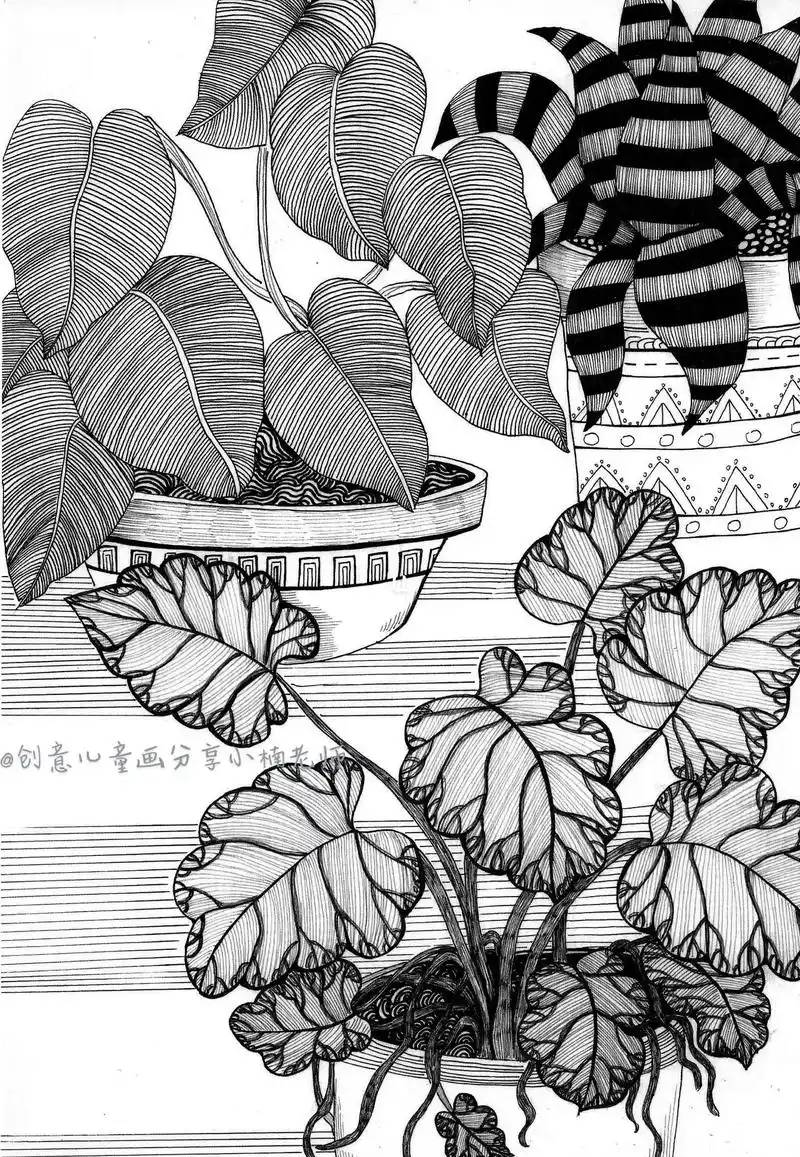 植物绘画|线描封神级作品.#画画 #线描 #手绘 #灵感创作 - 抖音