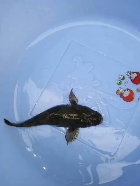  我来答      微信扫一扫 网络繁忙 请稍后重试 新浪微博 qq空间