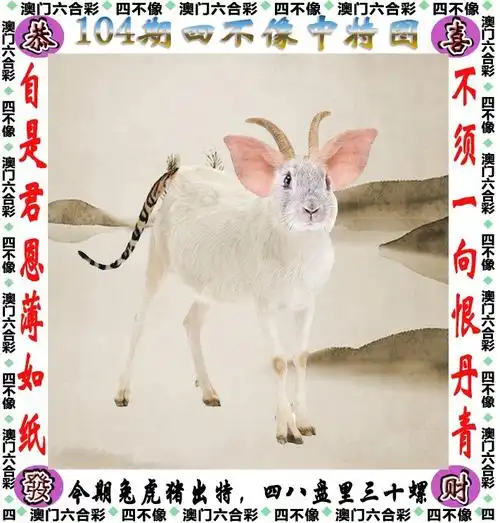 2022年正版资料大全完整版,2022年免费资料大全集,2022年香港马经图库