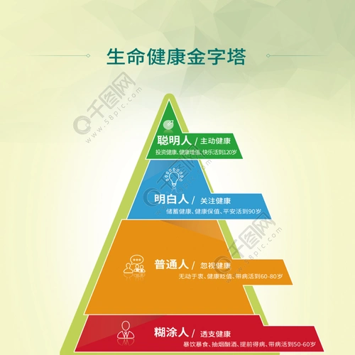 生命健康金字塔展板