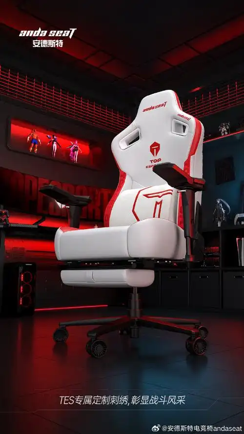 安德斯特×tes联名电竞椅