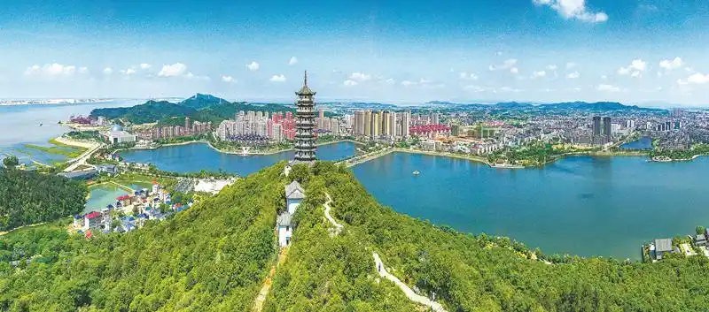 绿色在红土地上流淌——江西科学推进国土绿化综述|江西省_新浪新闻