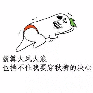 金馆长红裤衩趴着就算大风大浪gif动图_动态图_表情包下载_soogif