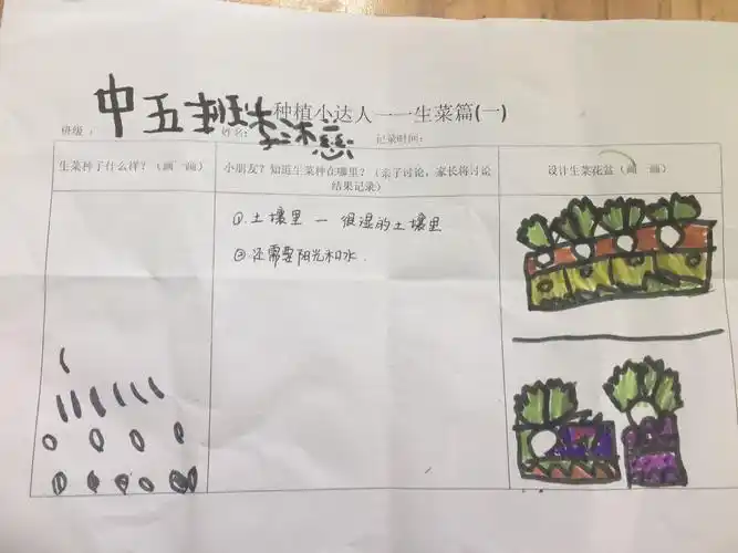 幼儿带回家起名,种植,照料,并用照片的形式记录下生长,照料的过程